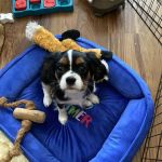 Donelson Air Service Experts