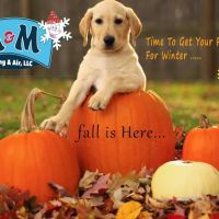 M & M Heating And Air Conditioning LLC ico