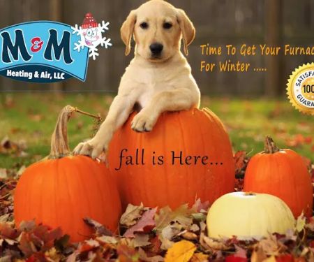 M & M Heating And Air Conditioning LLC