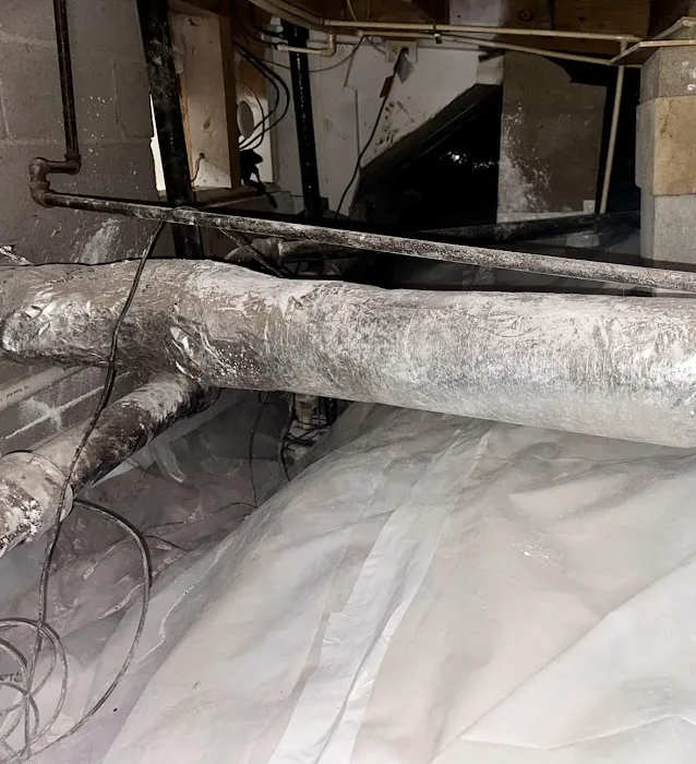 Rapid Restoration & Repair Picture 10