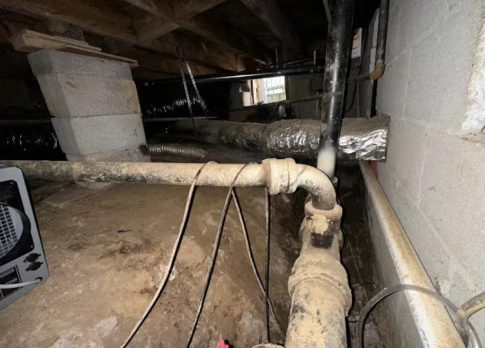 Rapid Restoration & Repair Picture 9