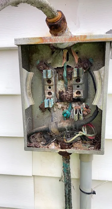 IdolCo Electric Inc Picture 6