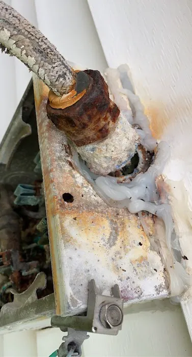 IdolCo Electric Inc Picture 4