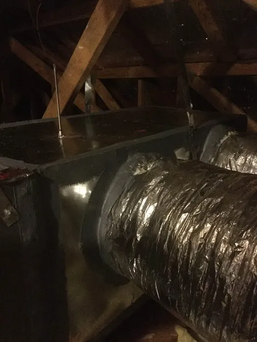 The Chill Brothers Picture 8