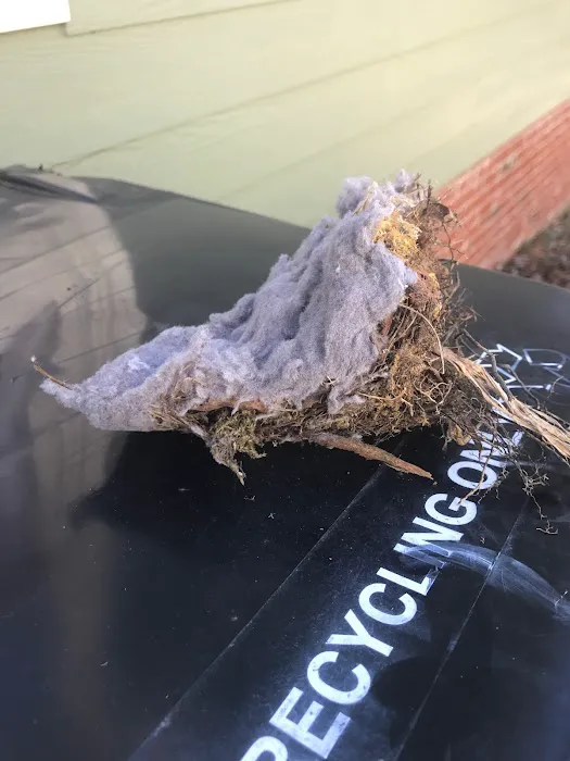 JNJ Dryer Vent Cleaning Picture 3