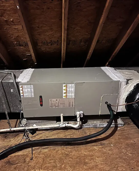 Cary Comfort Picture 1