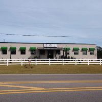 CE (Carrier Enterprise) ico