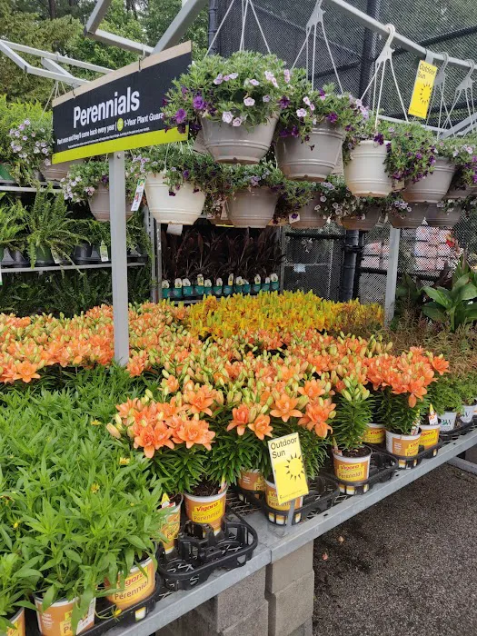 Home Services at The Home Depot Picture 10