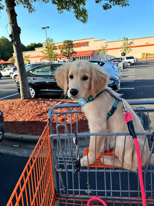 Home Services at The Home Depot Picture 8