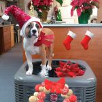 T E Inman & Co. Inc.