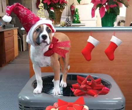 T E Inman & Co. Inc.