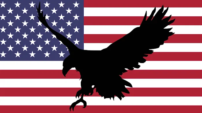 American Patriot HVAC Picture 1