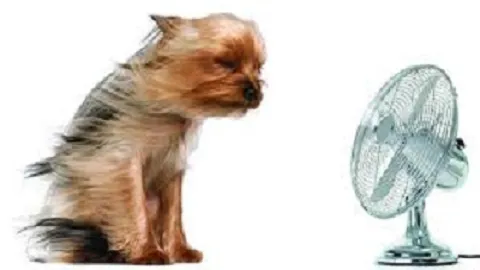 All Seasons Heating & Cooling Picture 2