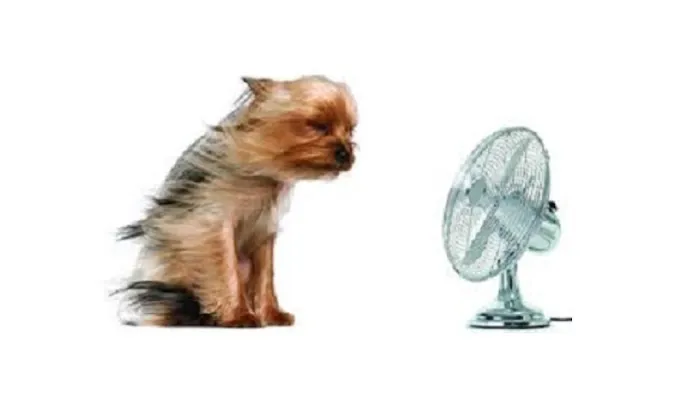 All Seasons Heating & Cooling Picture 9