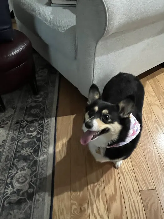 Gideon Heating & Air Conditioning Picture 10