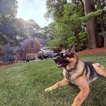 Renfrow Heating Cooling Plumbing & Electrical