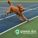Green Dot Heating & Air