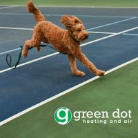 Green Dot Heating & Air ico