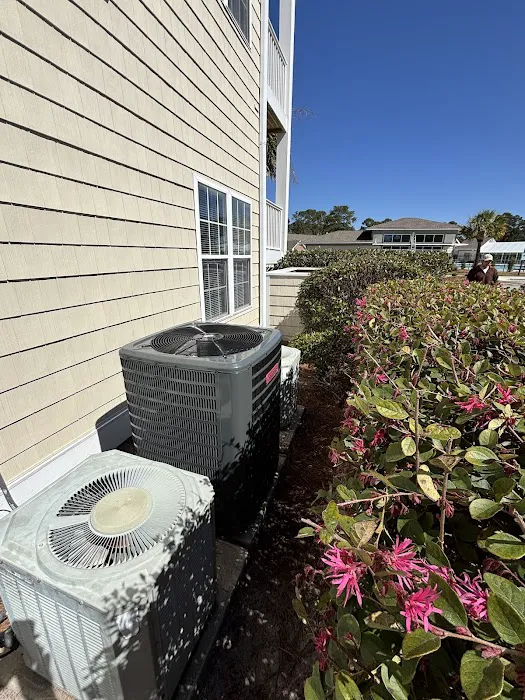 Tony Franks Picture 2