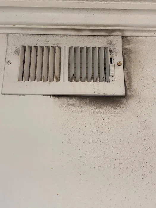 Green Home Solutions Picture 5