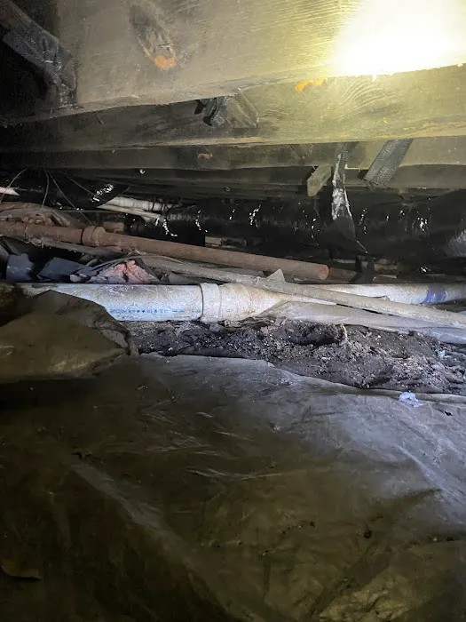 Green Home Solutions Picture 8