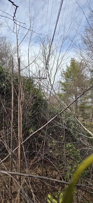 Blue Ridge Heating & Air Picture 4