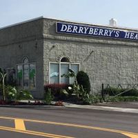 Derryberry's Heat & Air ico