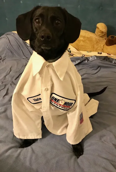 One Hour Heating & Air Conditioning Picture 10