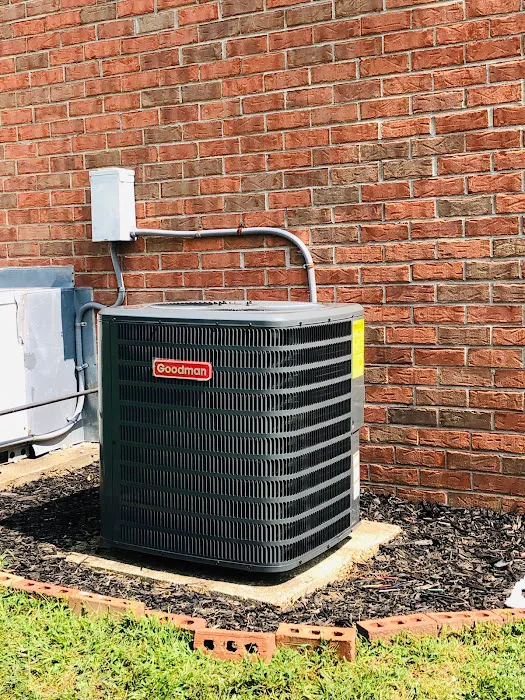 American temp Picture 6