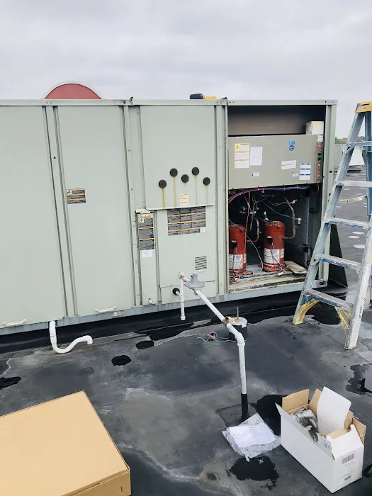 American temp Picture 8