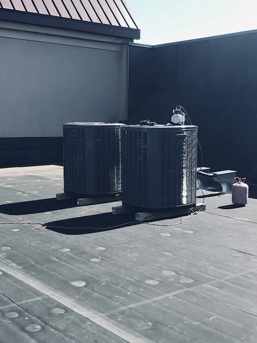 American temp Picture 3