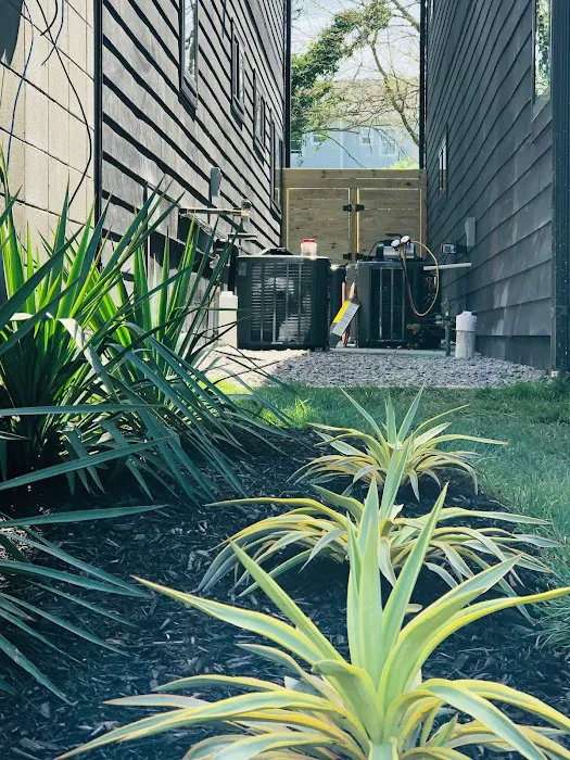 American temp Picture 9