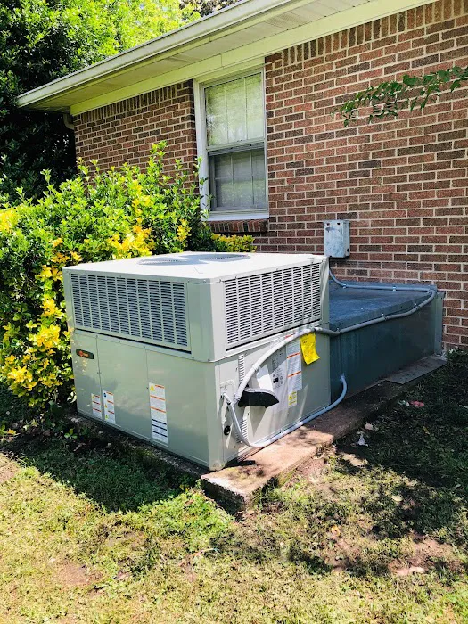 American temp Picture 5