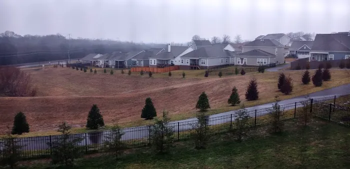 American temp Picture 2