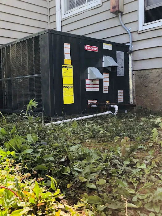 American temp Picture 7