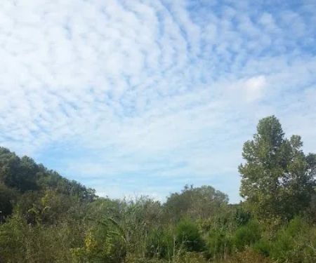 Mid-State Air Conditioning & Heating