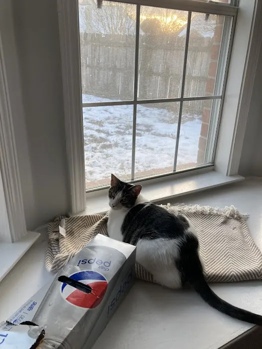 Ray Nelson & Sons AC & Heating Picture 4