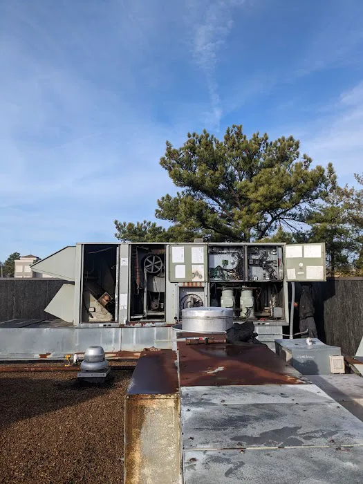 Comfortable LLC Picture 6