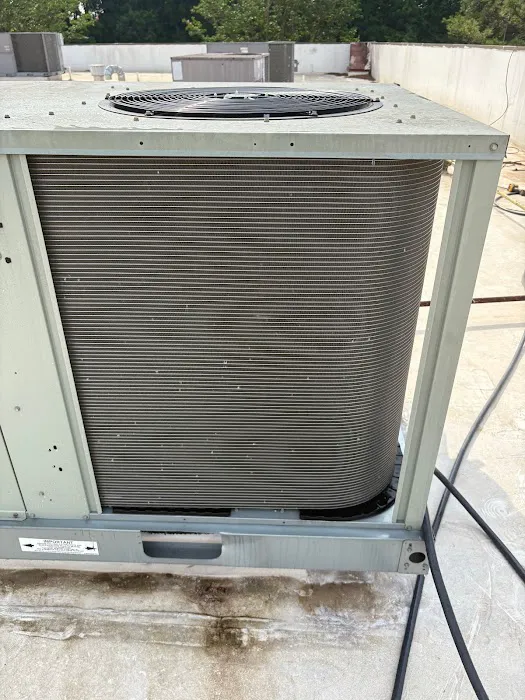 Comfortable LLC Picture 3