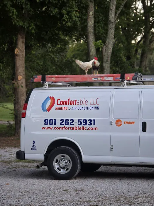 Comfortable LLC Picture 7