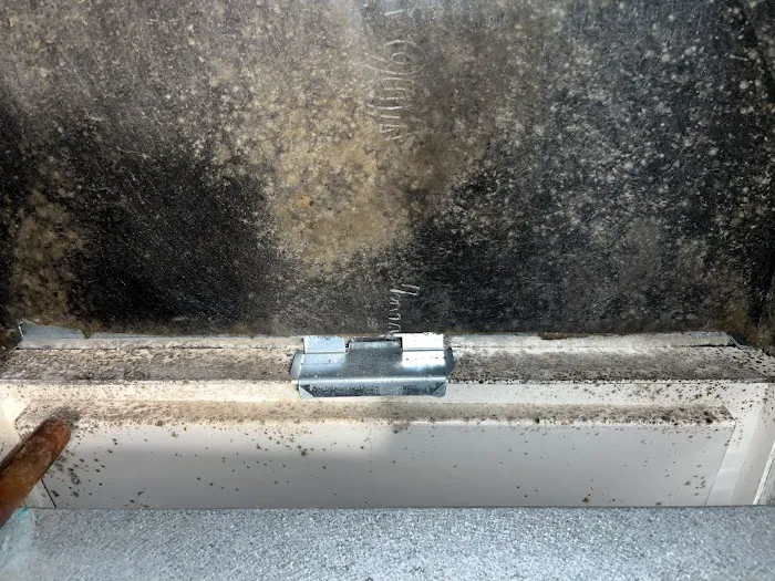 Complete Clean Picture 3