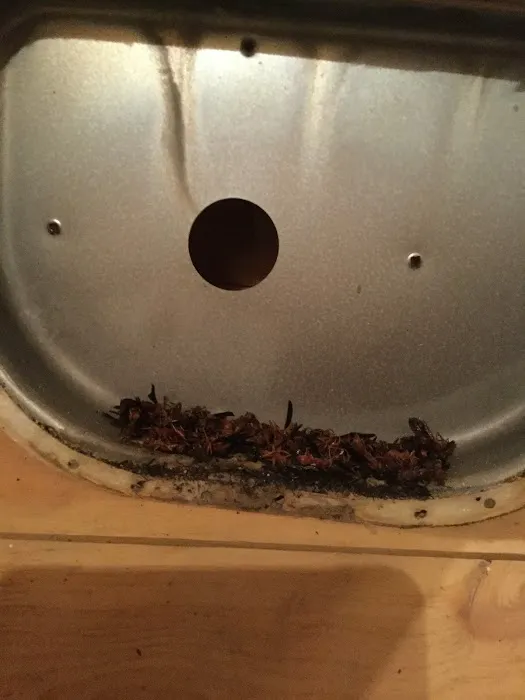 ColemanAir, LLC Picture 4