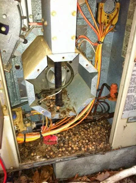 Creech Heating and Air Picture 1