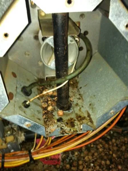 Creech Heating and Air Picture 3
