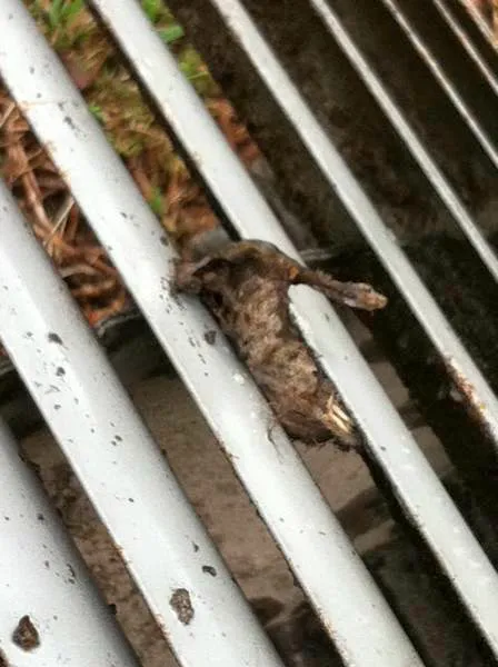 Creech Heating and Air Picture 6