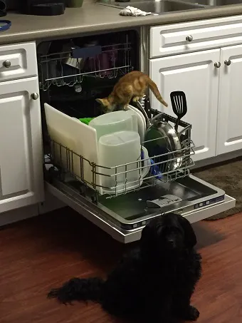 Jamerson Appliance Repair Picture 1