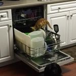 Jamerson Appliance Repair