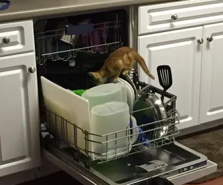 Jamerson Appliance Repair