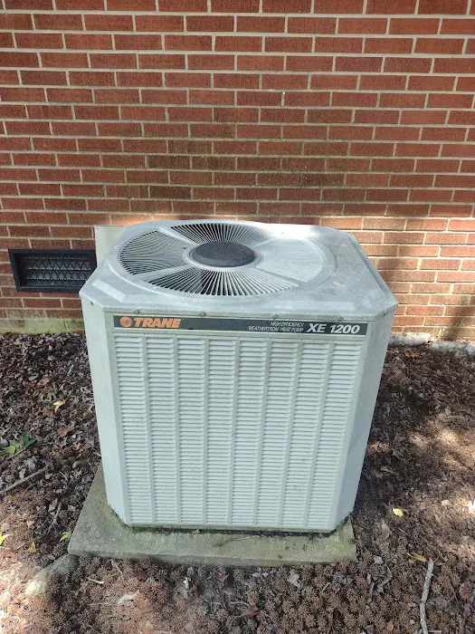 Artisan Air Picture 5