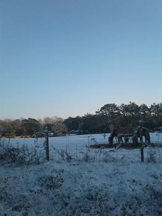 Airhandlers Heating & Cooling Picture 3